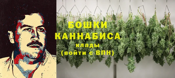 Альфа ПВП Новодвинск