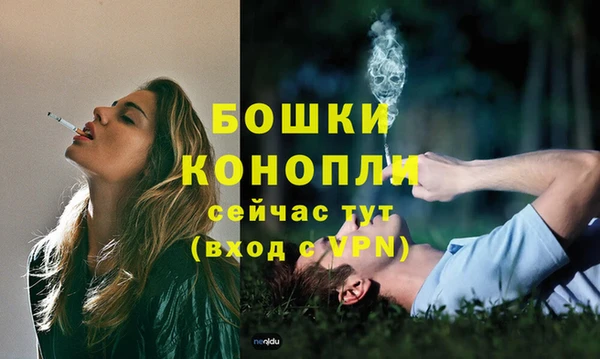 Альфа ПВП Новодвинск