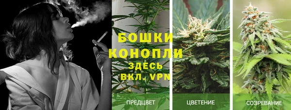 прущий лед Нефтекумск