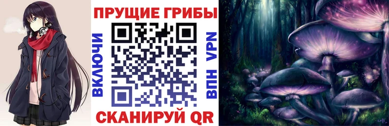 Галлюциногенные грибы MAGIC MUSHROOMS  Улан-Удэ 