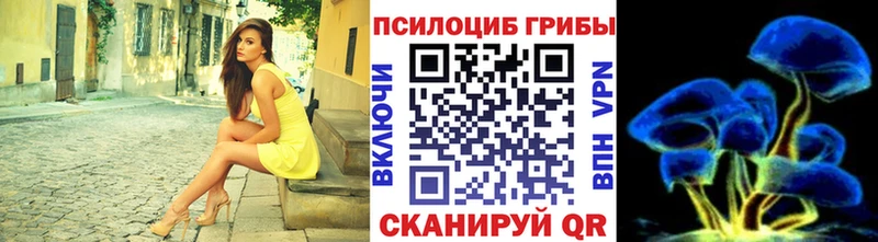 Псилоцибиновые грибы GOLDEN TEACHER Улан-Удэ