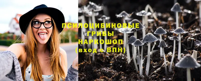 Галлюциногенные грибы MAGIC MUSHROOMS  Улан-Удэ 