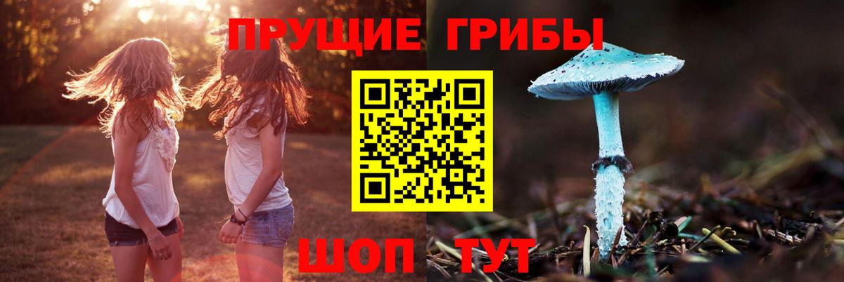 Галлюциногенные грибы ЛСД  Галлюциногенные грибы прущие грибы  Вход с VPN  Улан-Удэ 